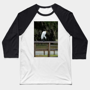 Great Egret, Lake Kissimmee, Florida Baseball T-Shirt